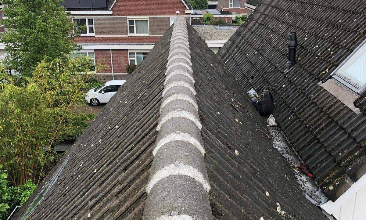 Nokvorsten Noordwijk